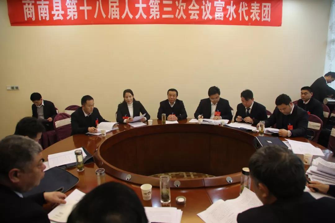 【聚焦两会】白桦在县十八届人大三次会议富水代表团参加讨论