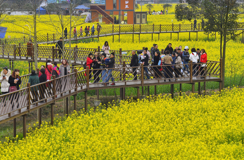 四川广汉以花为媒发展乡村旅游